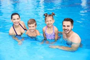 alternatives to muriatic acid for safe pool maintenance