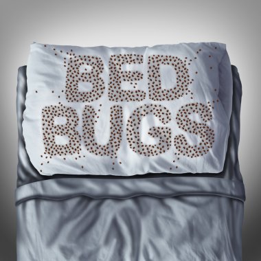 disposing-of-bed-bug-mattress